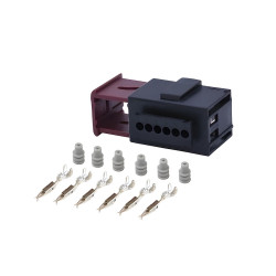 Haltech Plug and Pins Only - Suits VE Commodore APP
