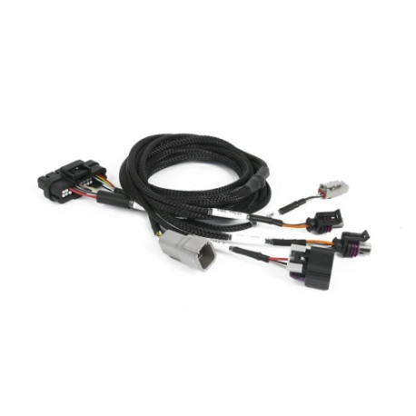 Motec Haltech Nexus Plug-in IO Expansion Harness 2.5m (8`) | race-shop.ro