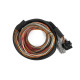 Motec Haltech Nexus IO16 Universal Wire in Harness 2.6m (8.5`) | race-shop.ro