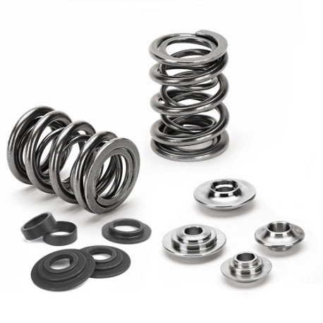 Componente motor SUPERTECH Valve Spring Kit Honda H22 | race-shop.ro