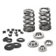Componente motor SUPERTECH Valve Spring Kit Ford/Mazda 2.0L/2.3L Duratec/EcoB | race-shop.ro