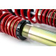 MTS Technik komplet Set de suspensie coilover MTS STREET SERIES pentru Mercedes-Benz E-CLASS T-Model (S211) 03/03 - 07/09 (Auriu) | race-shop.ro