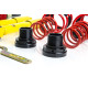 MTS Technik komplet Set de suspensie coilover MTS STREET SERIES pentru Volkswagen PASSAT B1 (32) 05/73 - 07/81 (Auriu) | race-shop.ro