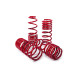 MTS Technik komplet Arcuri sport de coborâre MTS Technik Audi Q3 (8U) 06/11 - 03/20, 35 mm / 35 mm | race-shop.ro
