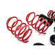 Suspensii sport reglabile MTS arcuri reglabile pentru Skoda OCTAVIA IV Combi (NX) 11/19 - | race-shop.ro