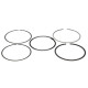Componente motor Wiseco Piston Ring Set 79.50mm | race-shop.ro