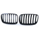 Bazár RACES grilă (Sport Performance) pentru BMW X5 E70 X6 E71 06-13, negru lucios DETERIORAT | race-shop.ro