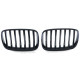 Bazár RACES grilă (Sport Performance) pentru BMW X5 E70 X6 E71 06-13, negru lucios DETERIORAT | race-shop.ro