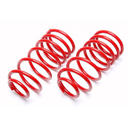 TA-TECHNIX arcuri sport pentru Renault 5 B/C40 1984-1996, 50/--mm