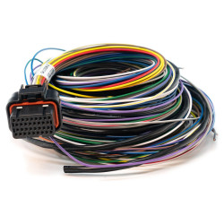 Link cablaj B mediu (2LB)