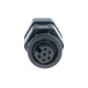Standalone ecu, display and accessories Link mufă (CANF) | race-shop.ro