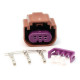 Standalone ecu, display and accessories Link senzor de conținut de etanol (ECS) | race-shop.ro