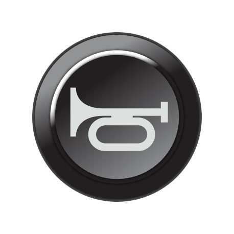 Standalone ecu, display and accessories Link inserție tastatură CAN - Claxon | race-shop.ro