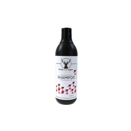 Spălare Daniel Washington - Șampon auto | race-shop.ro