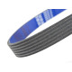 Fulii, curele si kit distribuție Gates Racing V-belt curea dintată Honda Civic MK6/CRX | race-shop.ro