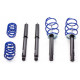 AP sportfahrwerke Suspensii fixe Suspensie sport AP pentru PEUGEOT 106, 04/96-, 40/..mm | race-shop.ro