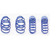 Sport arcuri AP pentru BMW Z4 , 12/02-03/09, 30/30mm