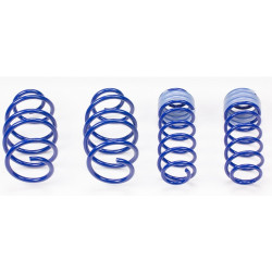 Arcuri sport AP pentru CITROEN C3, 11/09-, 30/30mm