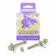 GTV & Spider 2.0 & V6, 916 (1995-2005) Powerflex Set șuruburi reglare înclinare (10mm) Alfa Romeo GTV & Spider 2.0 & V6, 916 (1995-2005) | race-shop.ro