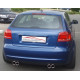 Sisteme de evacuare Friedrich Motorsport Gr.A Evacuare Duplex pentru Audi A3 8P FWD - Cu certificat ECE (991025-x) | race-shop.ro