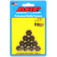 Șuruburi durabile ARP ARP piulițe (cap hexagonal, cu flanșă, Pack), 5/16-24, 10 buc. | race-shop.ro