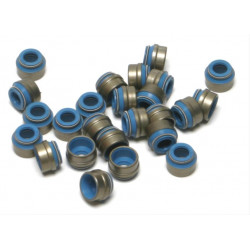 Cometic valve garnitură Evo Sportsters "Viton"(25x)