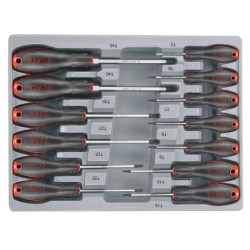 FORCE - 13PC T-SERIES COMBINATION SET TORX with a hole