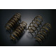 TEIN Arcuri sport TEIN HIGH TECH pentru HONDA CR-Z ZF1 | race-shop.ro