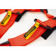 Centuri de siguranță și accesorii Centuri de siguranță sport în 5 puncte RACES Motorsport 3" (76mm), roșu | race-shop.ro