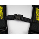 Centuri de siguranță și accesorii Centuri de siguranță sport în 5 puncte RACES Motorsport 3" (76mm), negru | race-shop.ro