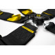 Centuri de siguranță și accesorii Centuri de siguranță sport în 5 puncte RACES Motorsport 3" (76mm), negru | race-shop.ro